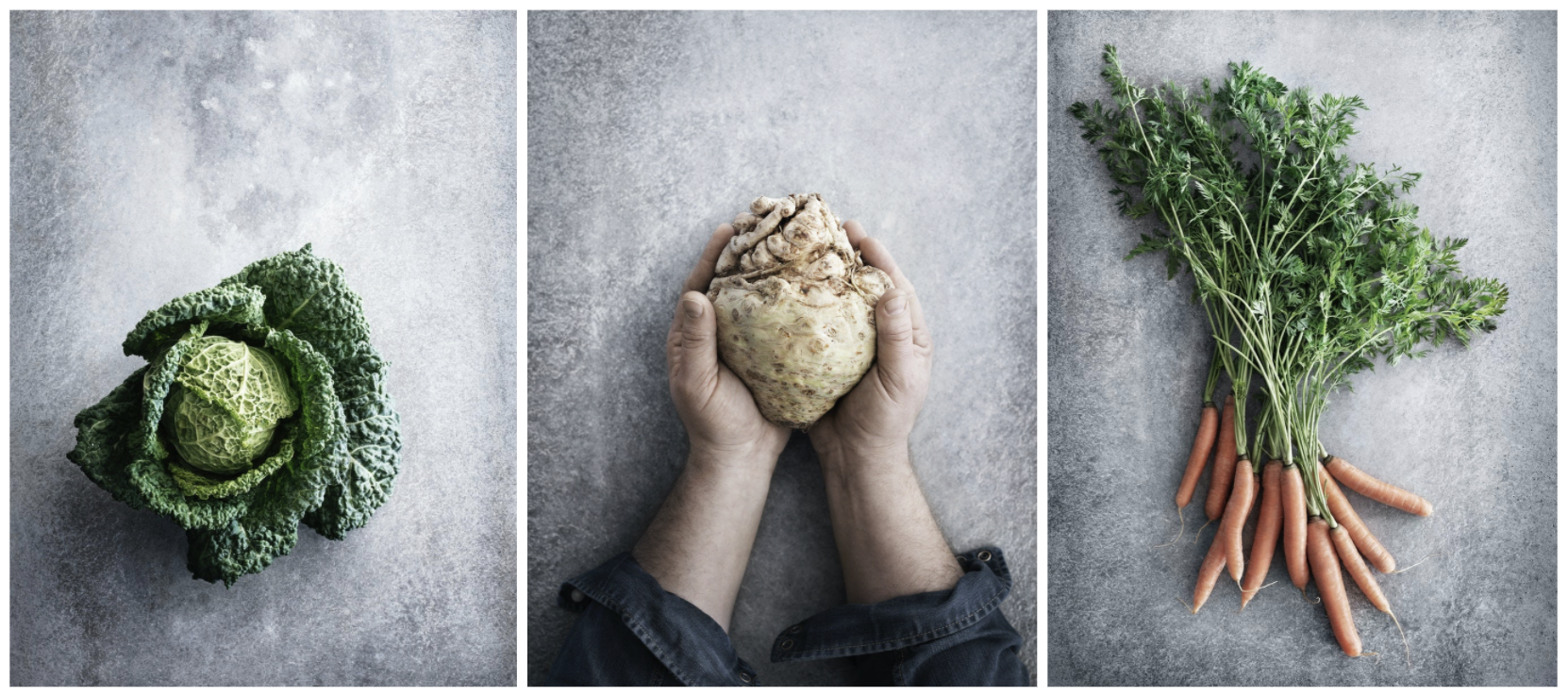 Join the IKEA Food Innovation Program