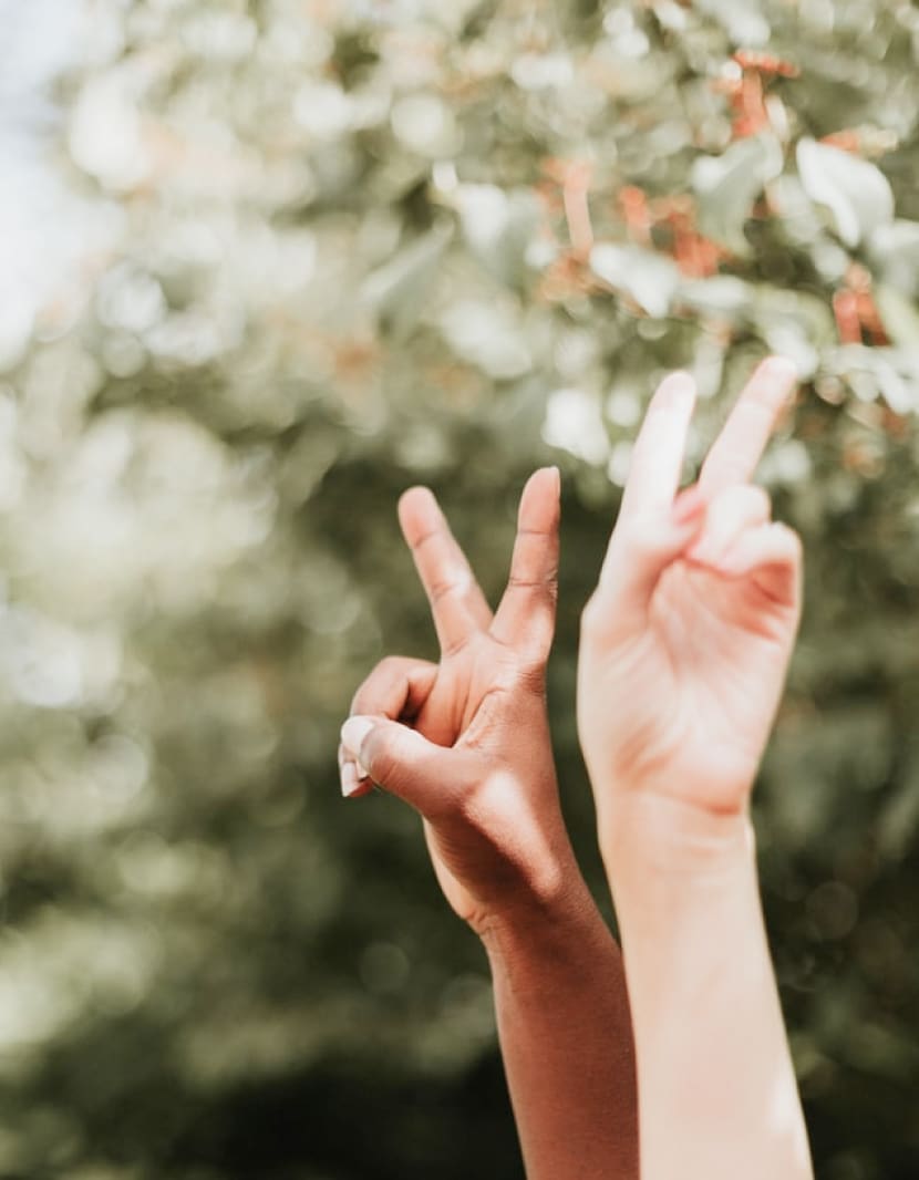 Illustration of two hands doing the peace sign