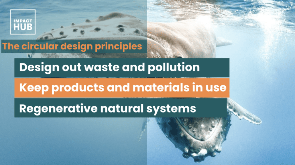 Circularity - Circular design principles on incubators and accelerators_Impact Hub